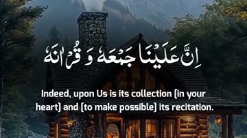 صوت عذب وجميل 🥹تلاوة عطرة بصوت القارئ عبدالله أحمد شعبان🎧🎧