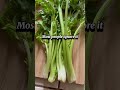 This Vegetable May Support Brain Health #shorts #cleaneating #brainhealth #nutritiontip #plantbased
