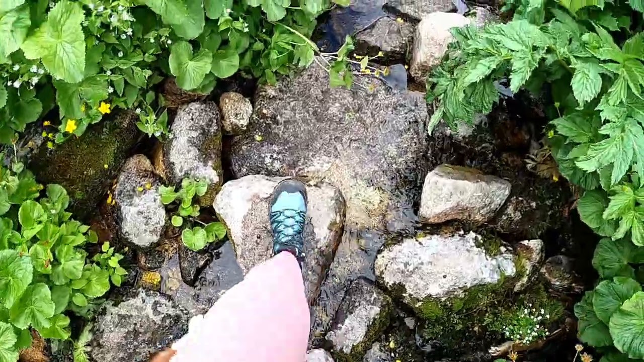 Rausor - Lacul Stevia. Muntii Retezat