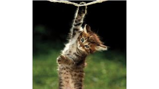 Hang in there the Rapture is sooner than you think