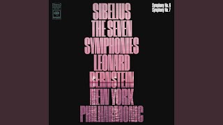 Symphony No. 6 in D Minor, Op. 104: I. Allegro molto moderato