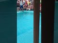 Frog race on a cruise ship!!! #cruise #viral #travel #contentcreator #frog #miami