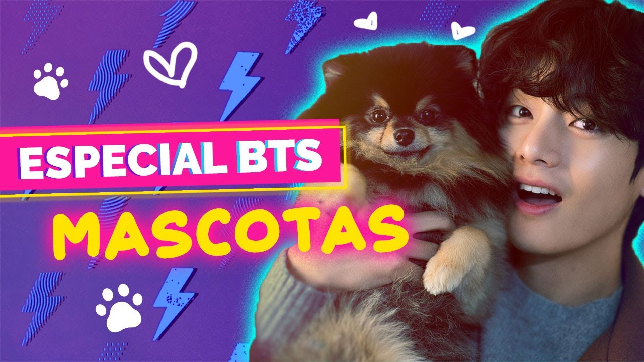 BTS sus Mascotas | Especial - YouTube