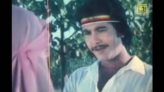 শলভব ও মহনযক মনন অভনত অসধরণ একট গন, ছব জরক