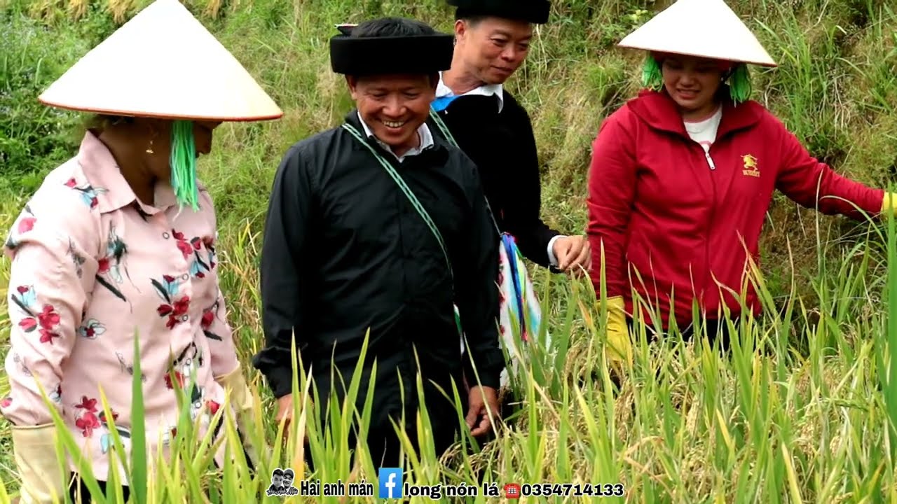 Ông mằn và ông minh hát đối đáp trong mùa gặt| Hai anh mán