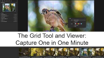 The Grid Tool and Viewer: Capture One in One Minute