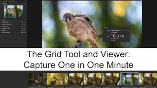 The Grid Tool and Viewer: Capture One in One Minute