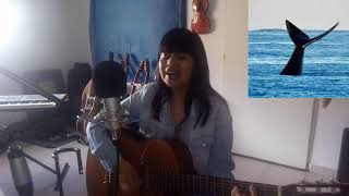 Canción Chubut mi Hermosa provincia