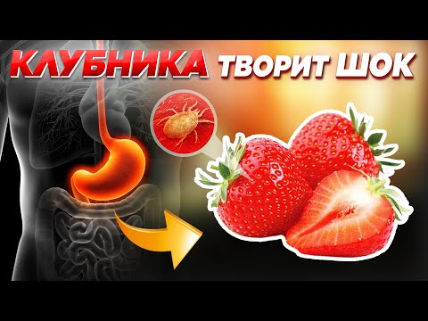 Video: Perché le fragole sono acide?