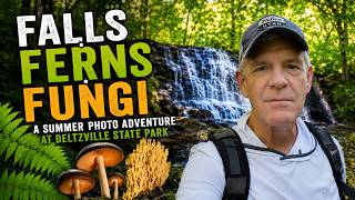 Finding Falls, Ferns & Fungi | A Summer Photo Adventure at Beltzville State Park