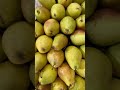 APMC Vashi dry fruit market New Mumbai #minivlog 🥰