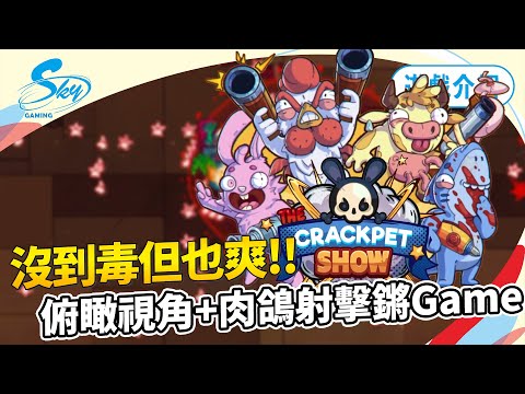 89%極度好評的彈幕射擊鏘Game《瘋狂寵物秀》，武器豐富、紓壓爽快，可惜有個詭異的缺點｜Sky