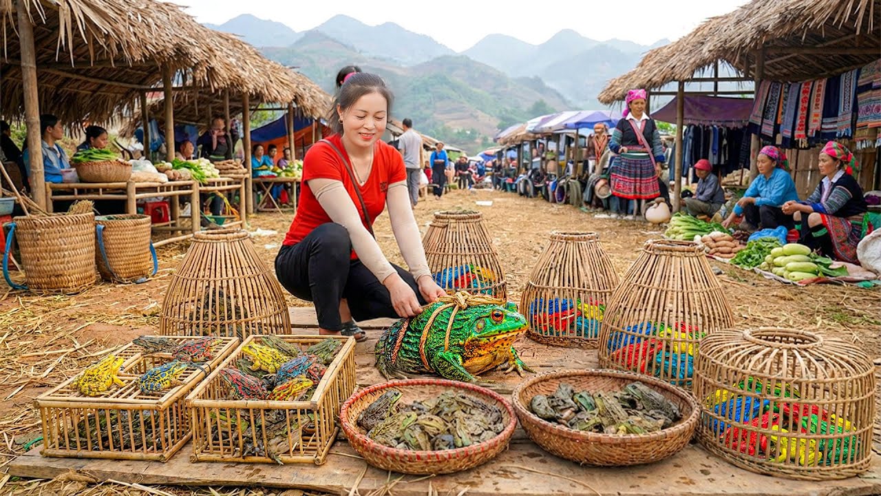 Harvesting Many Frogs In Trieu Thi Chuong's Farm - Use Truck To Transport A Lot Of Frog Go To Sell