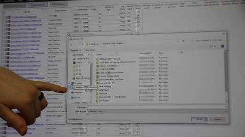 Accelerometer Set Up and Data Download