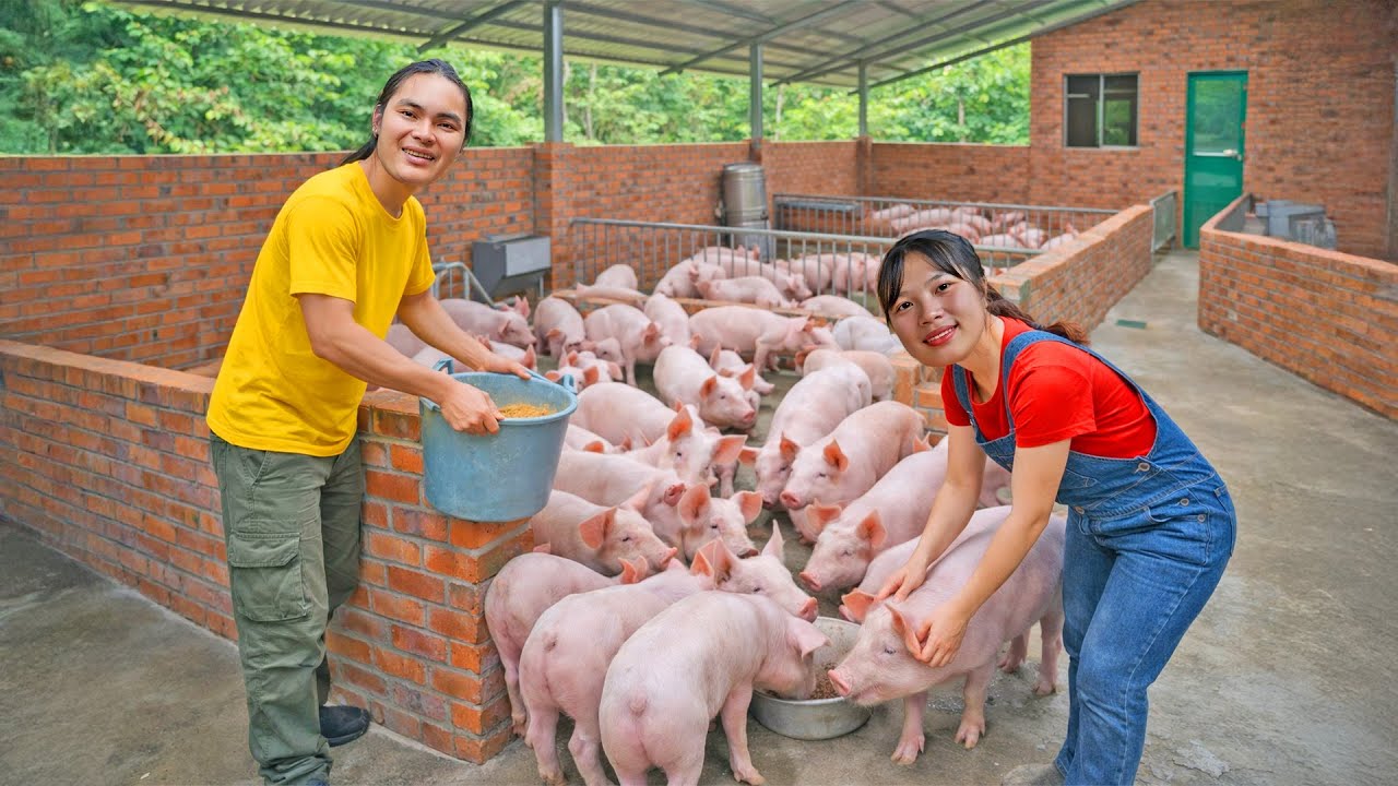 Completed Construction of a Traditional Pigsty in the Forest - Sturdy & Durable | SURVIVAL ALONE