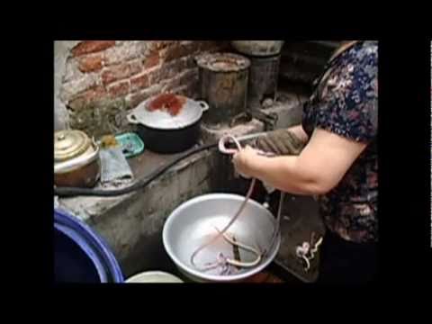 0 Snake restaurant in Vietnam