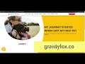 How to Install MetaBlog Divi Child Theme