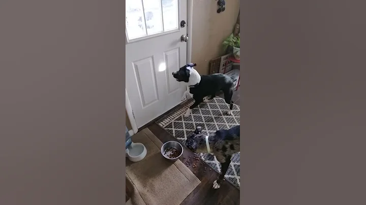 That darn spot!