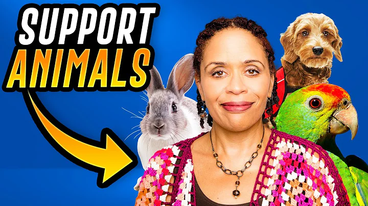 What Does an Emotional Support Animal Really Do? - DayDayNews