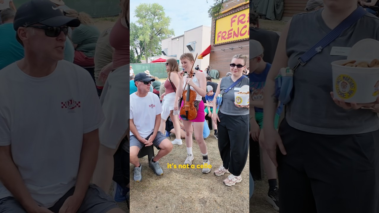 Minnesota State Fair Instrument Game