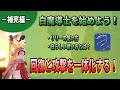 【FF14】白魔導士を始めよう！EX　リリーの管理、立ち回り【6.3最新】【解説】