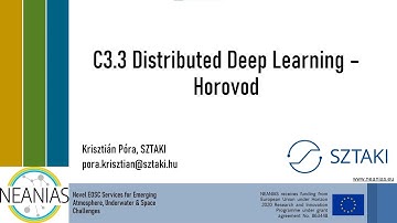 NEANIAS Core. Distributed Deep Learning by Horovod