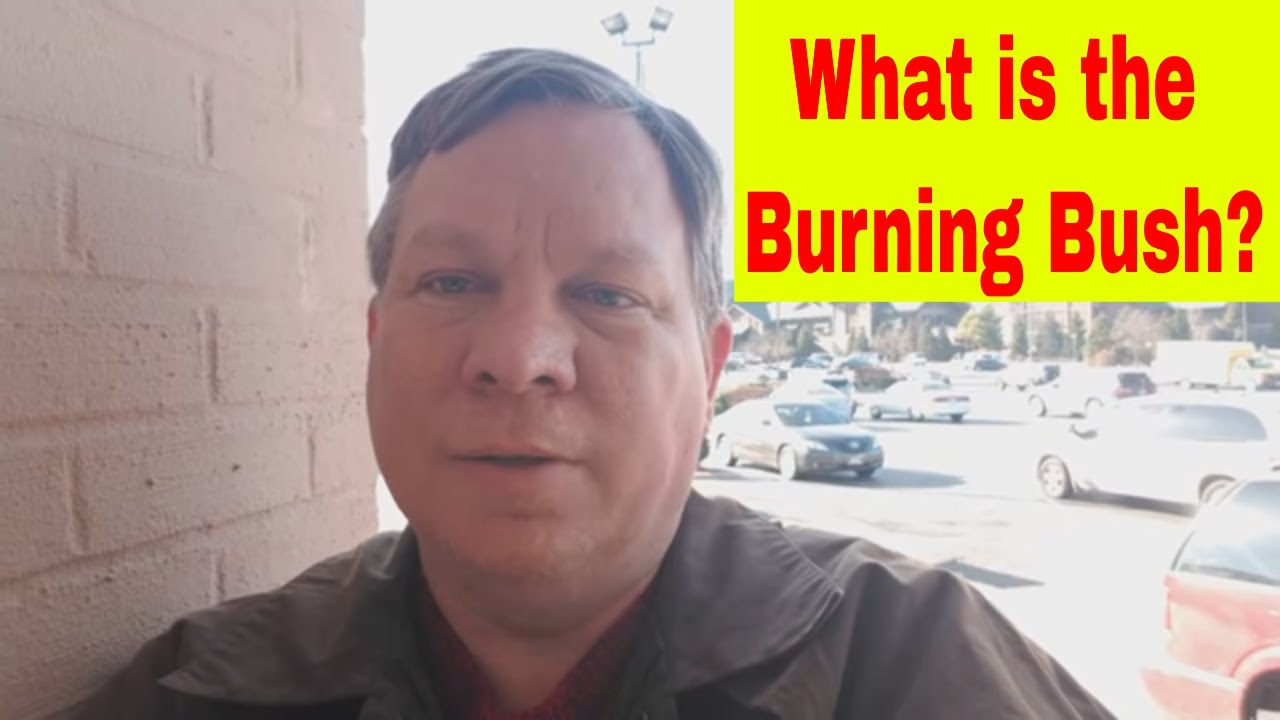 The Burning Bush what is it? YouTube