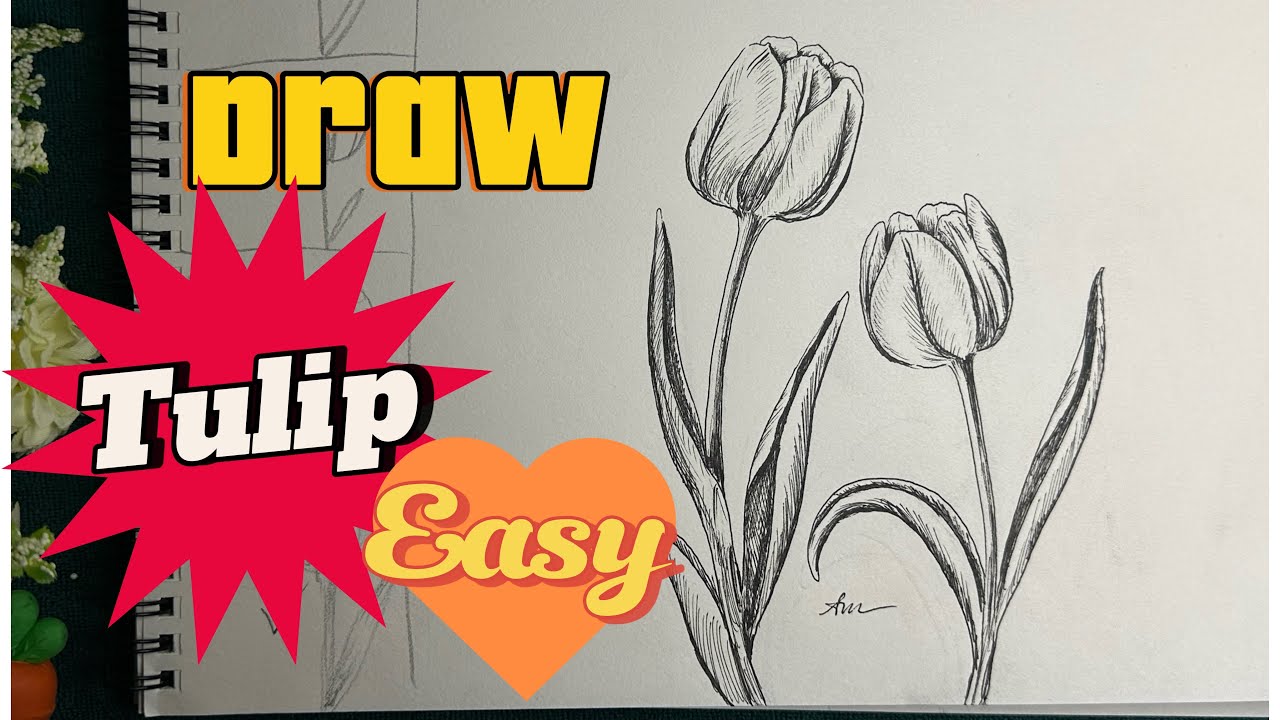 Draw 2 tulips ASMR ( vẽ hoa tulip) YouTube