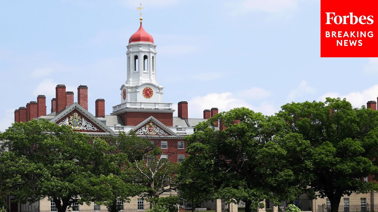 House Education Committee Holds Tense Hearing On Race-Based Admissions In US Universities