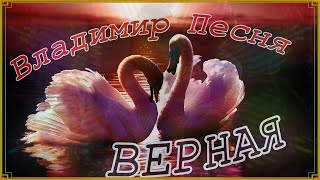 Владимир Песня - Верная