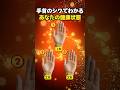 【手相占い】手首のシワの本数でわかるあなたの健康状態 #手相 #占い #shorts