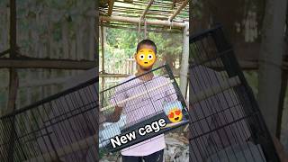 new cage😍 leliye 😱 #vlog #viral #shorts #trending #petvlog #newcage #birdsvlogs #cage #petlover