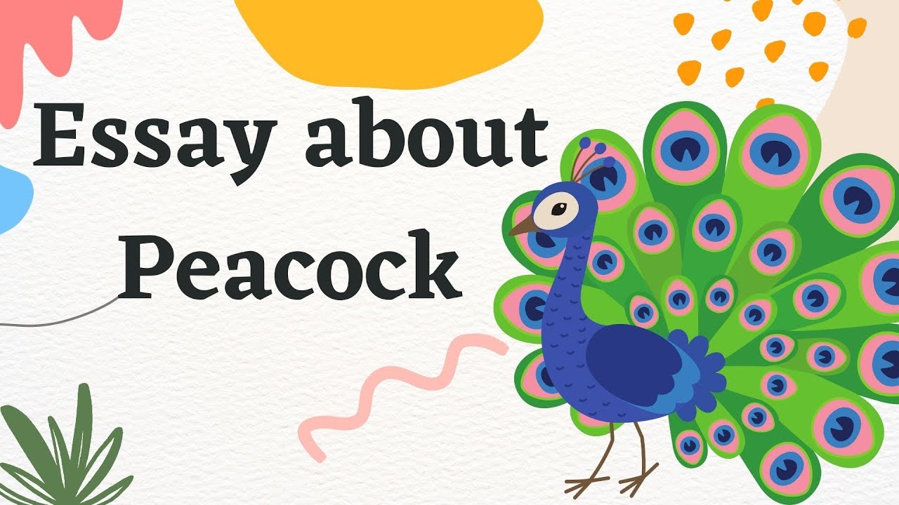 write an essay on the topic peacock