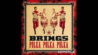 Brings, Florian Silbereisen - Polka, Polka, Polka (Single/Silbereisen)