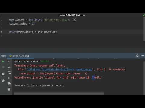 Python Basics - Part 56 (Detecting Runtime Errors)