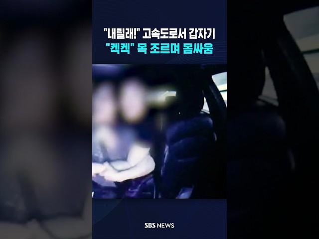 고속도로 한가운데서 "켁..켁.." #shorts
