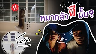 ลองใจหมา #7 // หมากลัวผีมั้ย? หมาเจอผีจะหอนมั้ย??