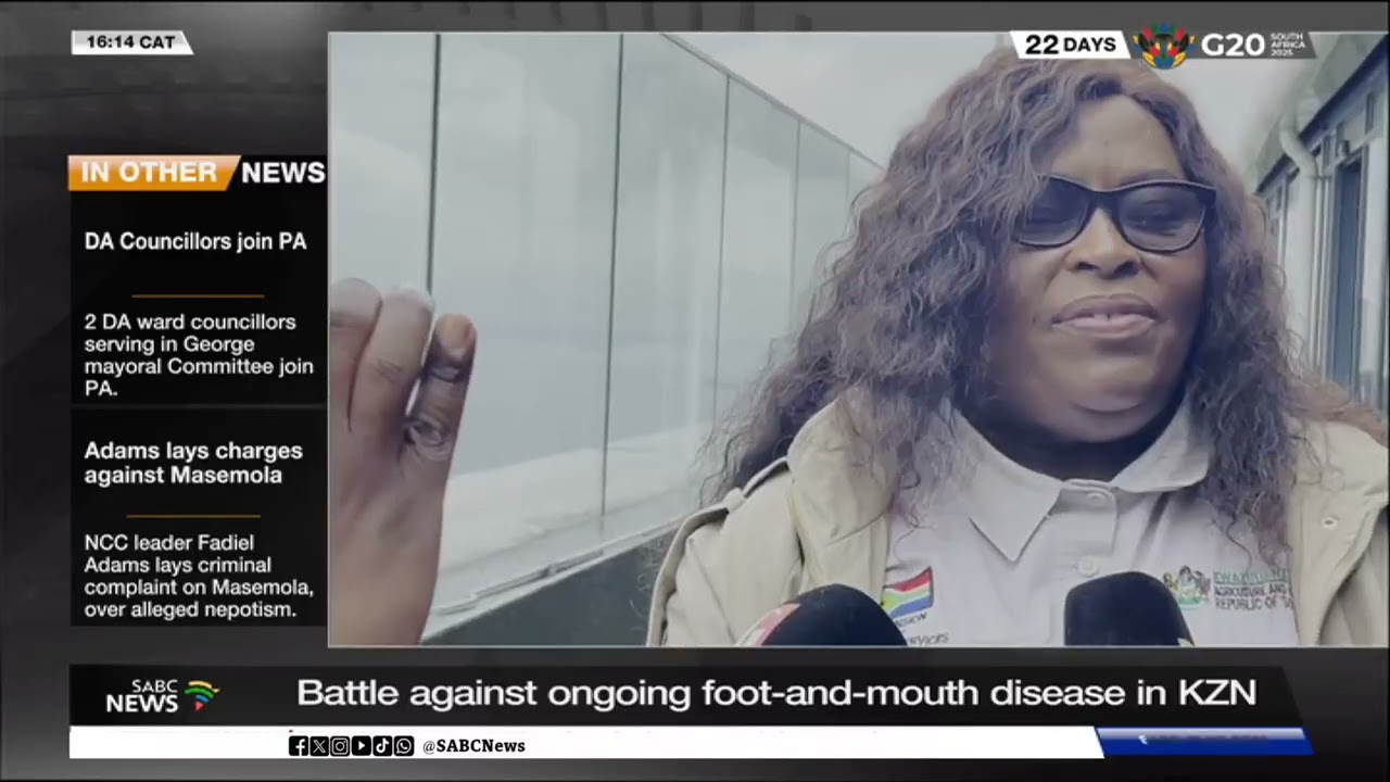 Борьба с продолжающимся ящуром в КЗН