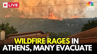 Athens LIVE: Thousands Evacuated as Wildfires Continue To Rage in Greece and Albania Region | N18G