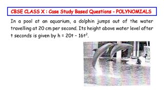 In a pool at an aquarium, a dolphin jumps out of the water travelling at 20 cm per second.