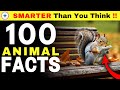 100 Animal Facts That Will Change Your View of Nature 🌿