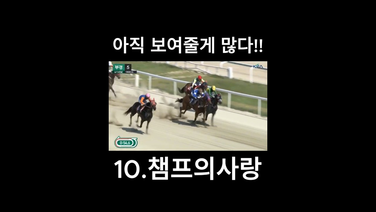 아직보여줄게많다   #경마  #경마예상  #경마방송  #경마예상방송  #서울경마  #금요경마  #토요경마  #일요경마 #경마장