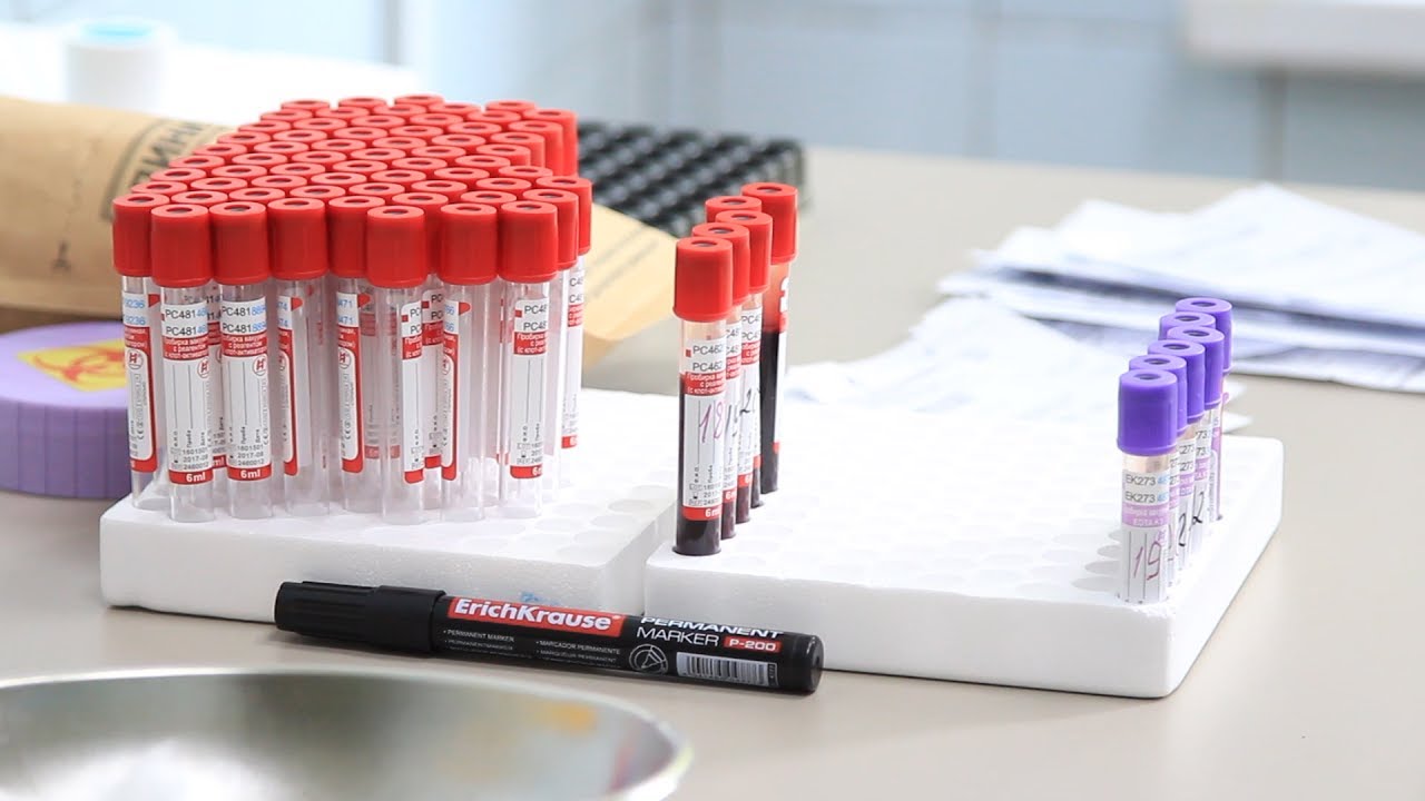 СДАТЬ КРОВЬ СТАЛО ПРОЩЕ - YouTube