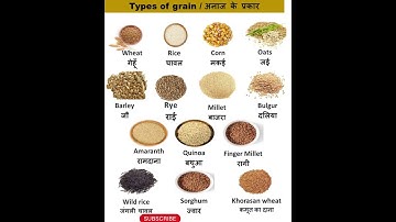 Type of Grain//अनाज के नाम