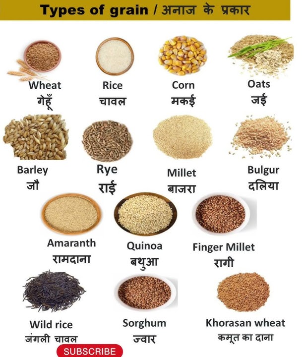 Type of Grain//अनाज के नाम