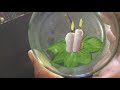 How to paint Christmas Candles on Glass/Christmas Candles- one stroke painting.