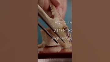 Omotenashi - Nghệ Thuật Chăm Sóc Khách Hàng Đỉnh Cao Của Nhật Bản