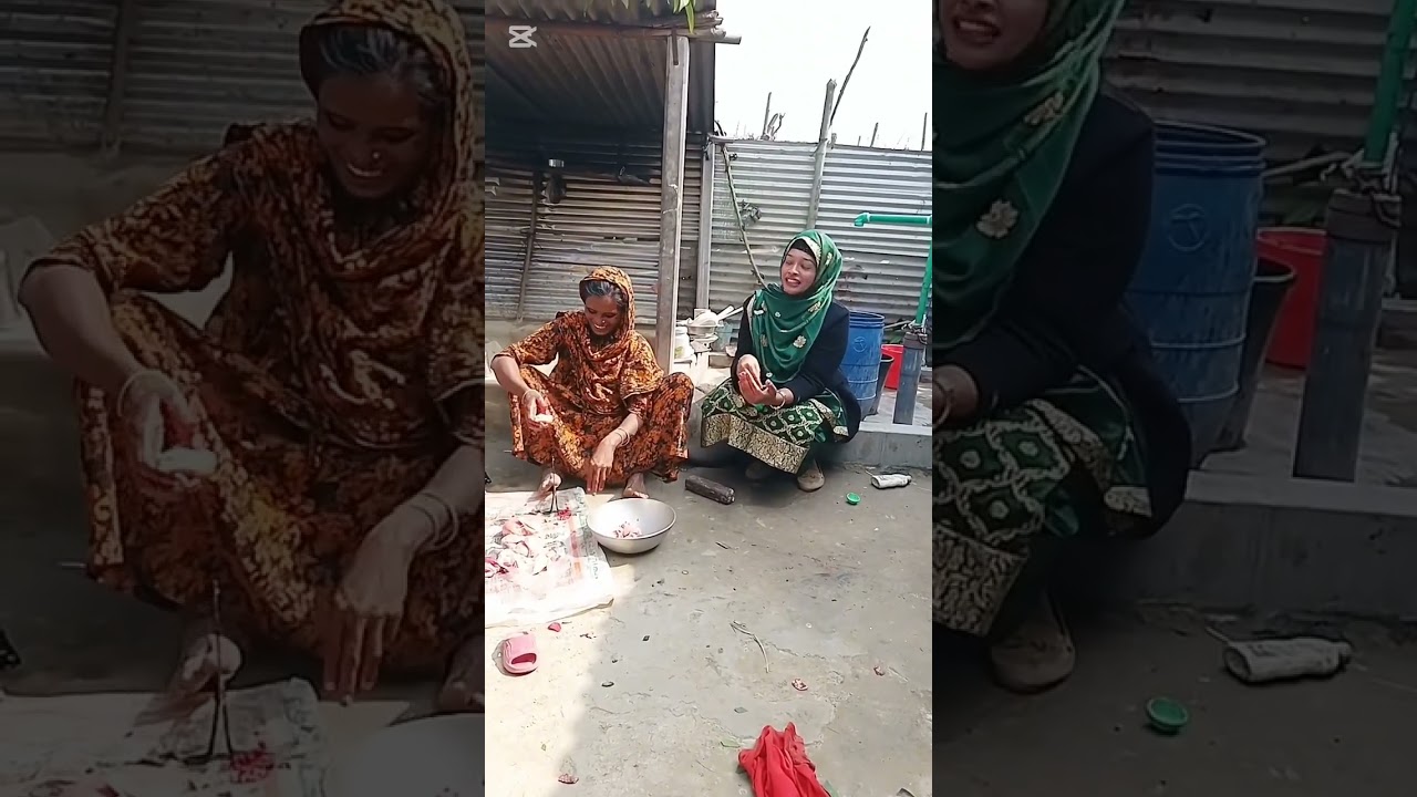 আমার ননদিনই চলে আলসে