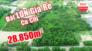 ĐẤT LỚN CỦ CHI ( Đã Bán ) | GẦN 3 HECTA ĐẤT VƯỜN GIÁP CAO TỐC MỘC BÀI | 0348.419.419 | #180