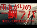 6月後半の明石海峡で鯛ラバ！！前日2日間雨の後の海に出る！！